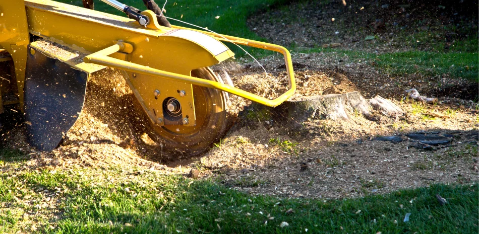 Stump Grinding